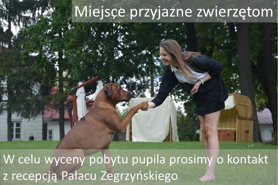 Отель Pałac Zegrzyński Зегже-6